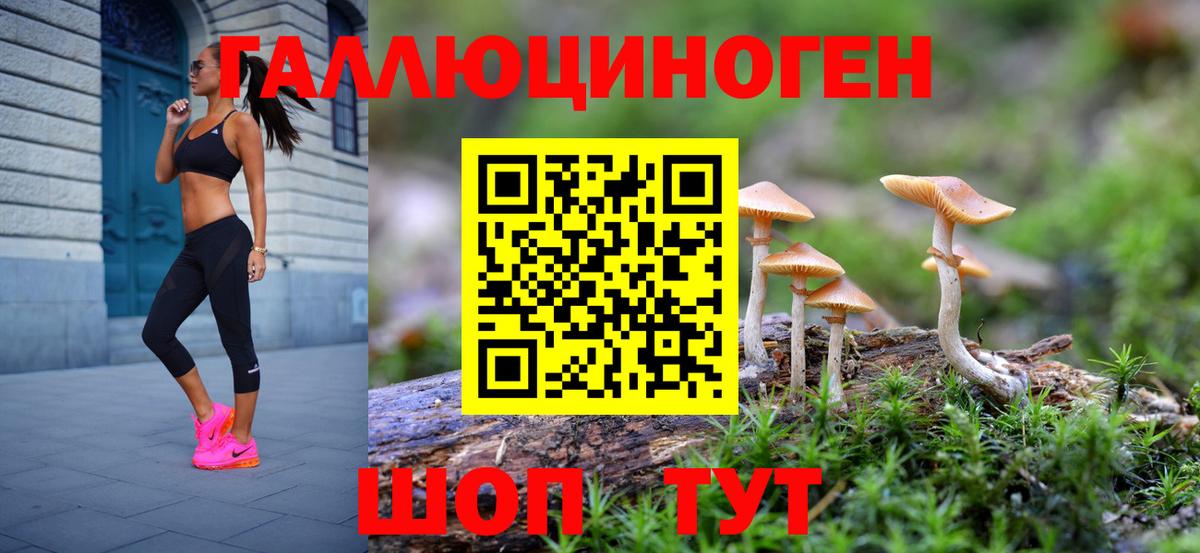 Псилоцибиновые грибы Psilocybine cubensis Анапа